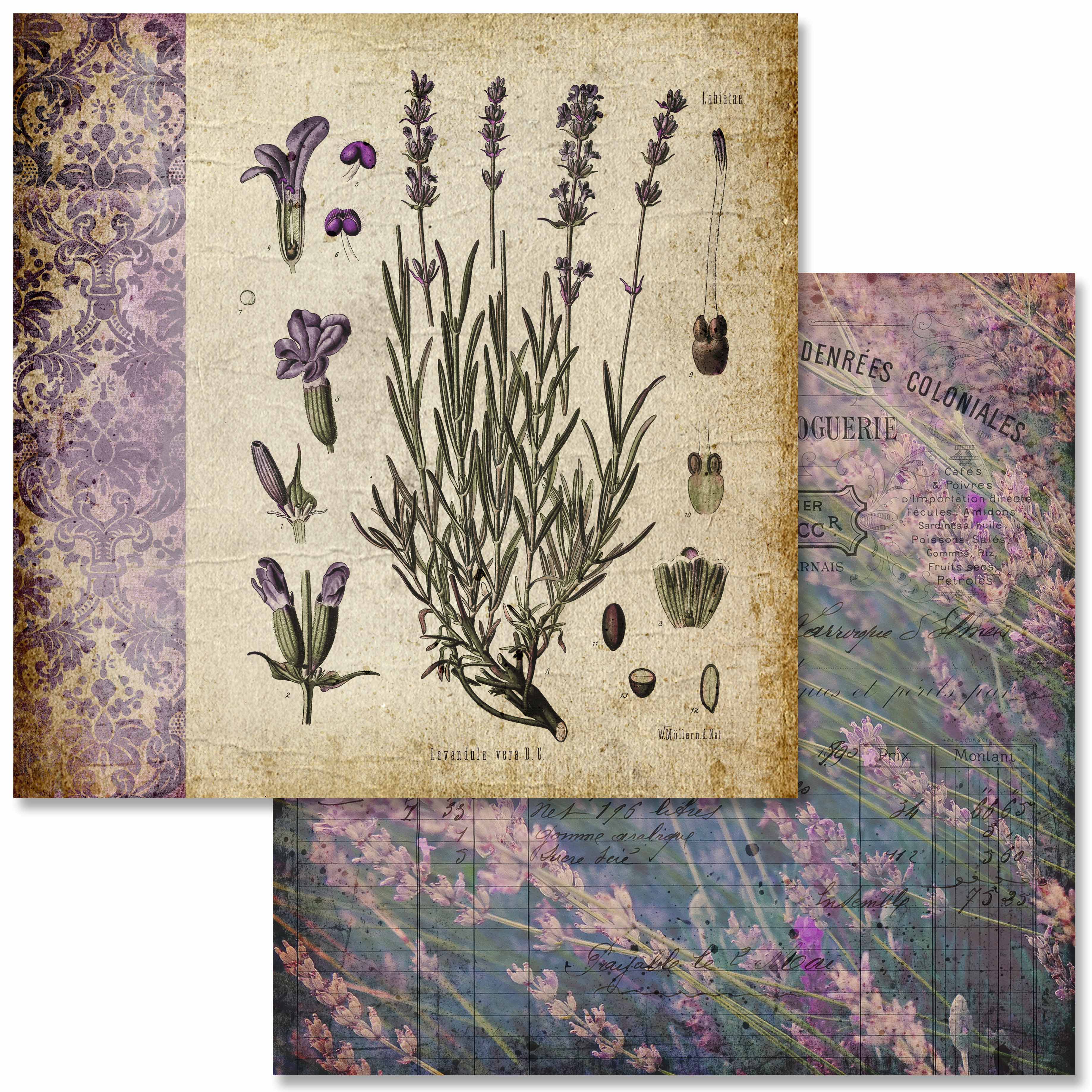Vintage LavenderScrapbook Set - 12" x 12"