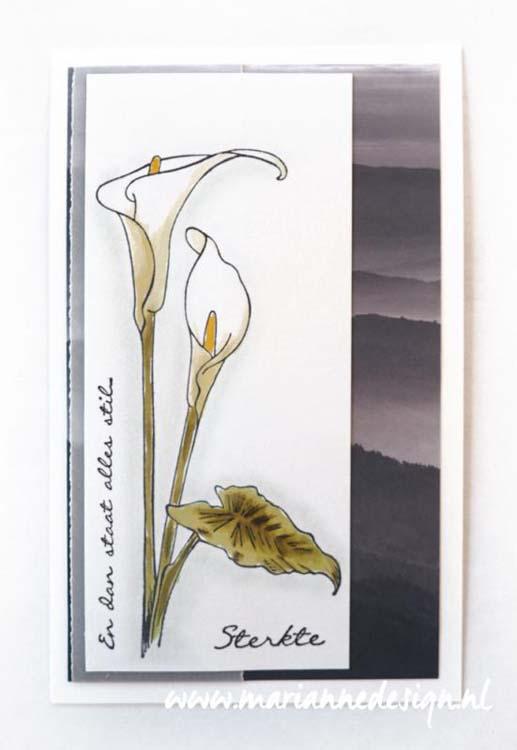 Marianne Design Clear Stamps Tiny's Border Callas