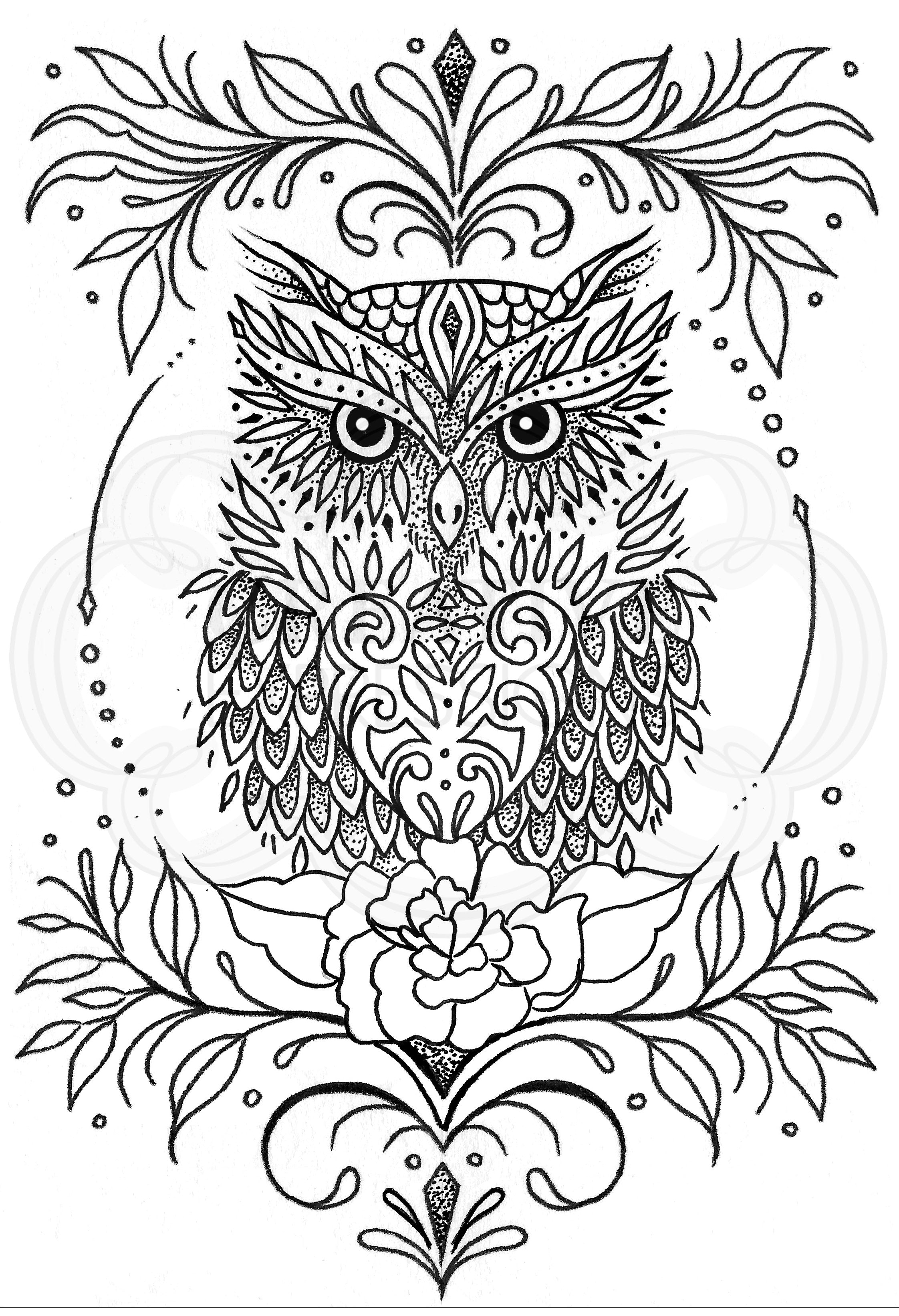 Creative Expressions Designer Boutique Collection Owl Be There For Twit Twoo A6 Clear Stamp Set