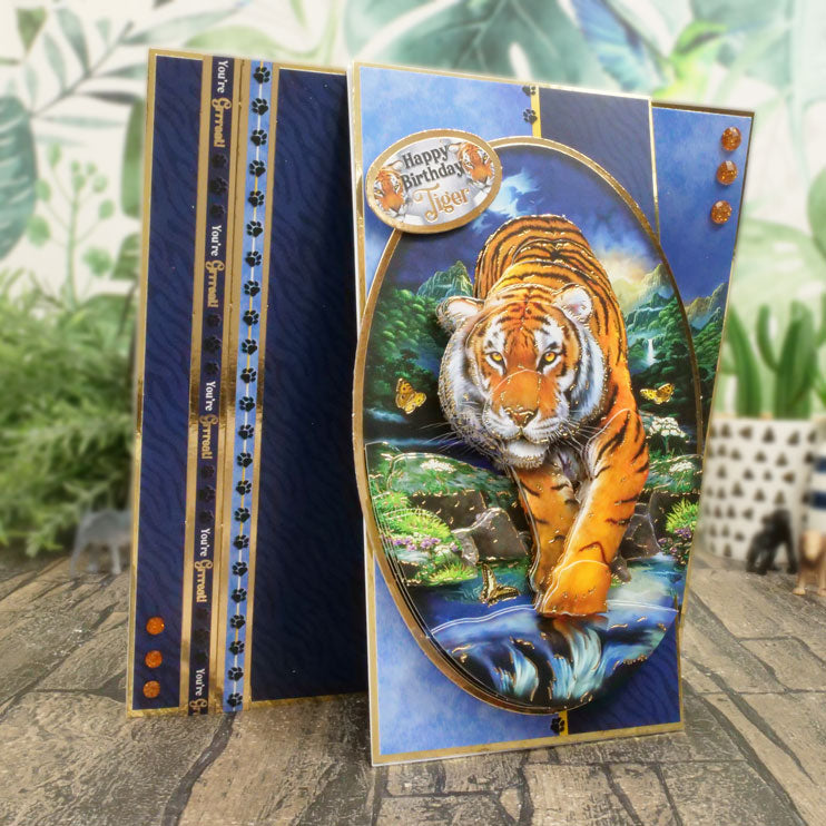 Into The Wild Deco-Large Set - Go Get 'Em Tiger!