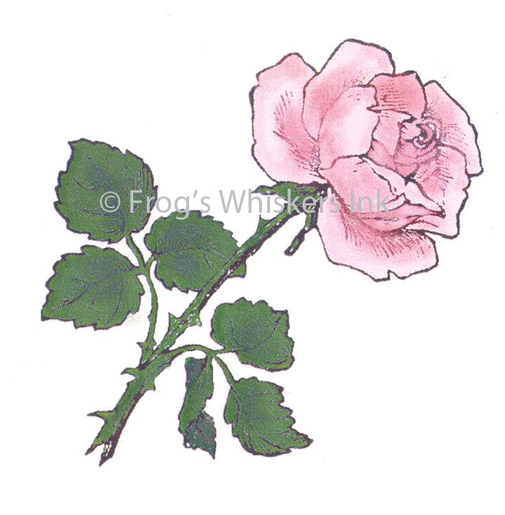 Frog's Whiskers Stamps - Favourite Rose