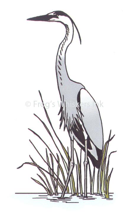 Frog's Whiskers Stamps - Heron