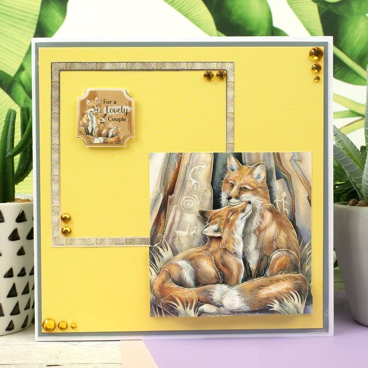 Animal Kingdom Decoupage Book