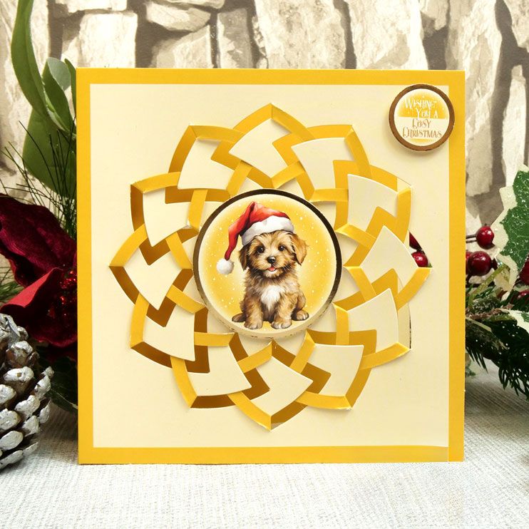 Festive Folds Interlace Card Kit