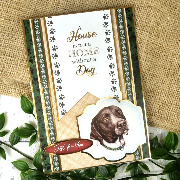 Pawty Time Card Topper Sheet