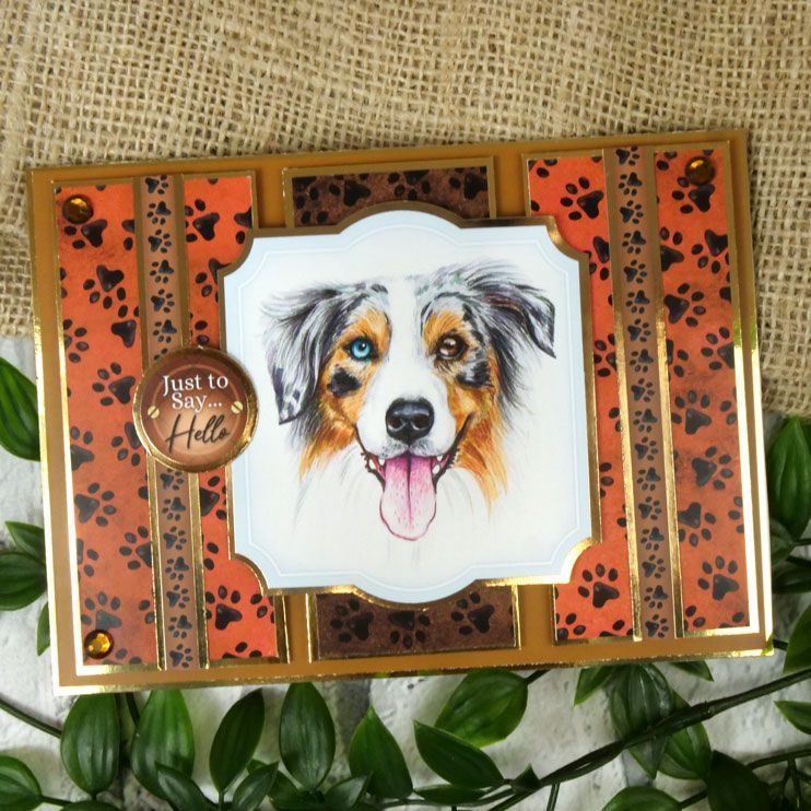 Pawsome Portraits Luxury Card Toppers