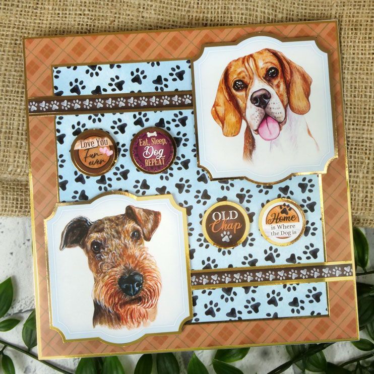 Eat, Sleep, Dog, Repeat Card Topper Sheet